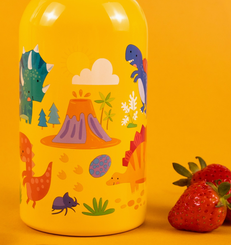 500ml stainless steel kids water bottle with dinosaur design