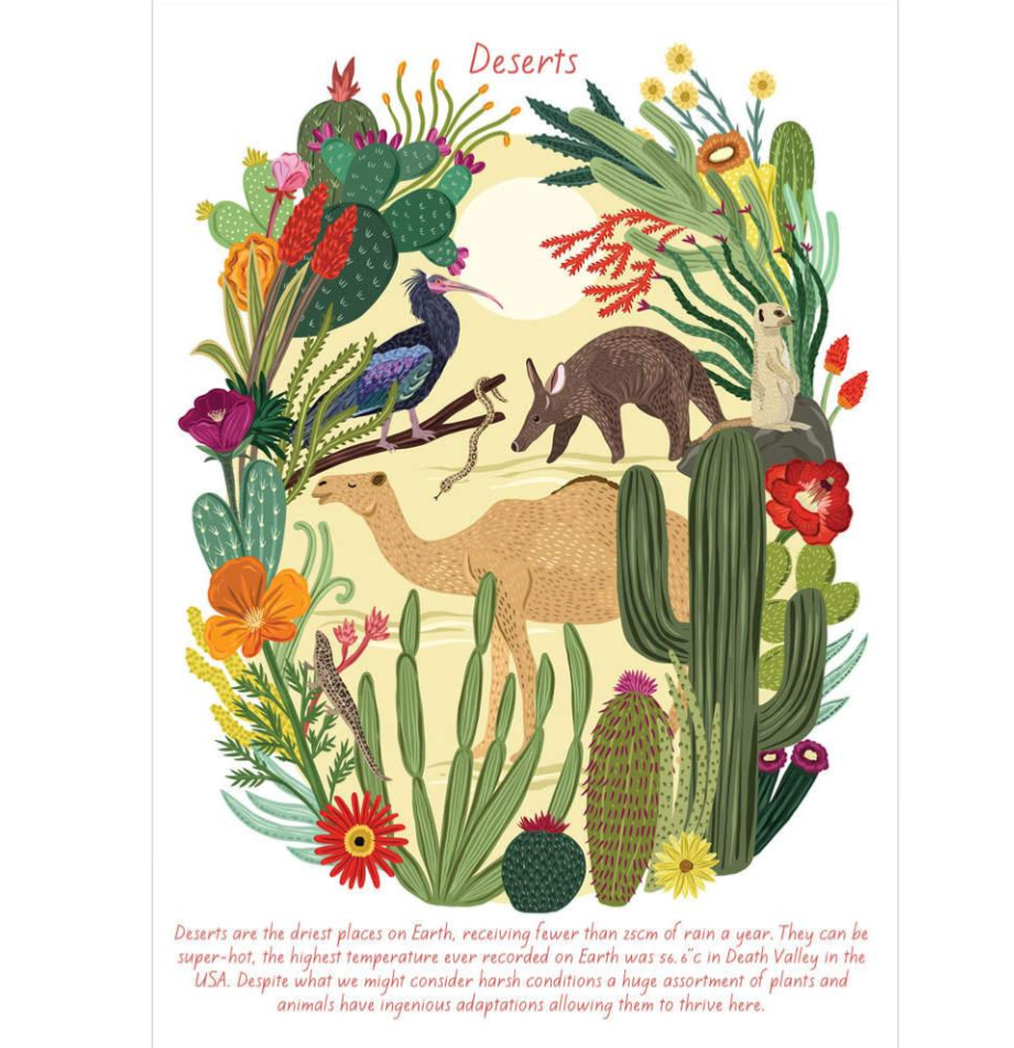 Eco‑friendly ‘Deserts’ greetings card with recycled envelope