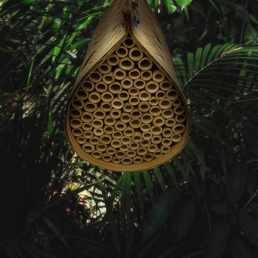 Bamboo teardrop bee house with natural nesting tubes
