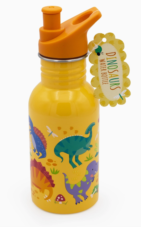 500ml stainless steel kids water bottle with dinosaur design